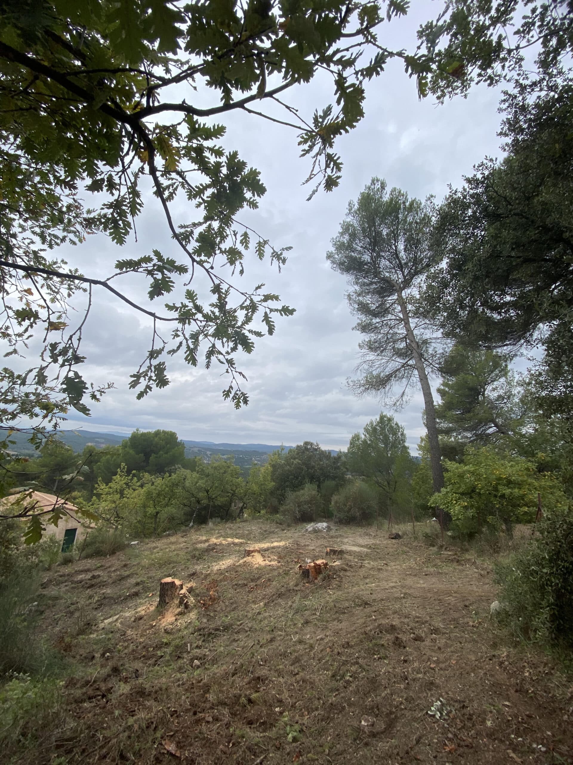apres3-scaled.jpg