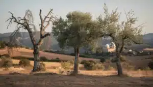 5 signes qu'il est temps d'élaguer